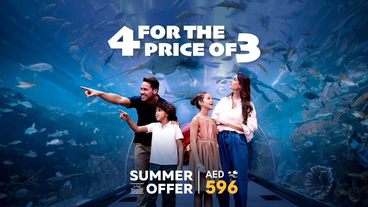 Offer-Image